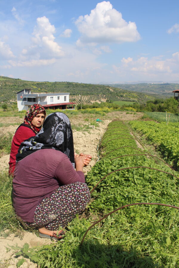 Hatay Chili | Chili grof gemalen | REPACK - Afbeelding 6