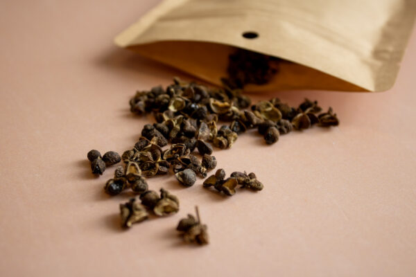 Sichuan Peper Meghalaya Trial